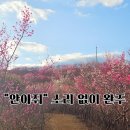 내동삼계리 | 진주 매화숲 주차 명당, 아이와 '안 안고' 걷는 1박2일 코스