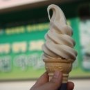 용준농장 Daum카페