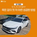 정보카 티스토리