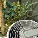 갤러리 골프 스크린 이미지