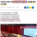 세계로 인셀덤 이미지