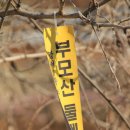 부모산성 Daum카페