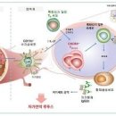 고지혈증 분류 스타틴 콜레스테롤에 좋은 영양제 이미지