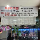 누렁소숯불 네이버블로그