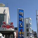 포항 영일대 물회 마라도회식당 내돈내산 솔직 후기