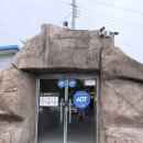 냉풍욕장 | ⛰️ 한여름에 만나는 천연 에어컨! '보령 냉풍욕장' 방문 후기 🍄
