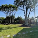 안월선 민박 코리아, 제주 이미지