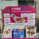 부강약국 이미지