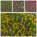 누리소농장 이미지