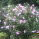 고양능곡13 이미지