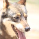 모리농장 이미지