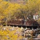 (유)동부렌트카 이미지