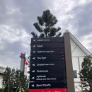 스위스당구클럽 이미지