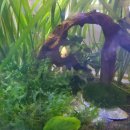 노블PC방 | 주안 노블 PC방 후기