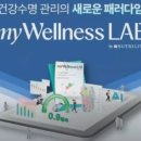 더웰니스랩