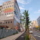 트윈골프연습장 이미지