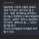 새담 이미지