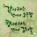 그린오션 이미지