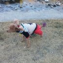 동화천1 이미지