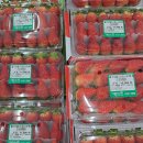 의성건어물 이미지