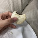 2018년 7월 넷째주 일기