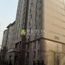 분당-393 이미지