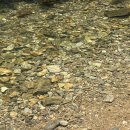 느티나무식당 이미지