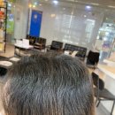 나비드헤어 이미지