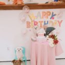 워킹페코 이미지