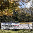 전라도인삼튀김 이미지