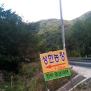 성현농장 이미지