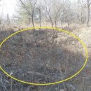 임란전적비 내 | 平昌의 鎭山, 魯山과 魯山城에 대하여 (1부)