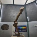 썬파크장 이미지