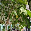 상록수농장 이미지