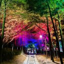 실바람공원 이미지