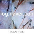 가꾸는동안뷰티샵 이미지