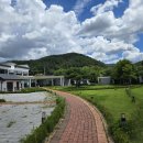 몽펠리에 이미지