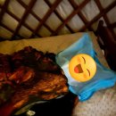 초원약국 | 모닥불 피우기, 쏟아지는 별 보며 누워있기, 초원에서 뛰어노는 동물들 보기, 유목민 게르, 몽골 시골...