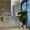 큰나무의원 - 강화군 중앙로 9 | [영유아검진 소아과 추천] 6개월 아기 지축 햇살소아과 나무쌤 2차 영유아검진 후기 및 질문 리스트