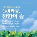 달빛테라피 이미지
