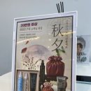 대우메디칼 | 두피관리 경력많으신 수빈 디자이너님 관리 후기 #쌍용동미용실 천안두피