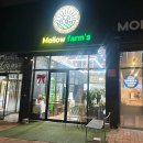 해피타워 맞은편 | 대구 동구 브런치 분위기맛집 3번이상 가본 멜로우팜스