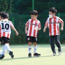 아리솔유치원 이미지