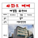 하모리-9 이미지