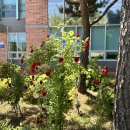 대평면복지관 이미지