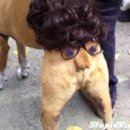 살랑살랑 이미지