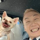 이성우 뉴스1