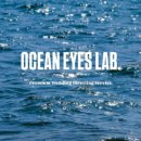 청춘 랩(LAB) | [제주 쀼의 결혼준비] W02. 본식 전문 사회자/오션아이즈랩 계약 후기