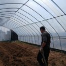 해뜬농장 이미지