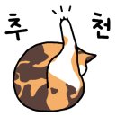 카페스트로 이미지